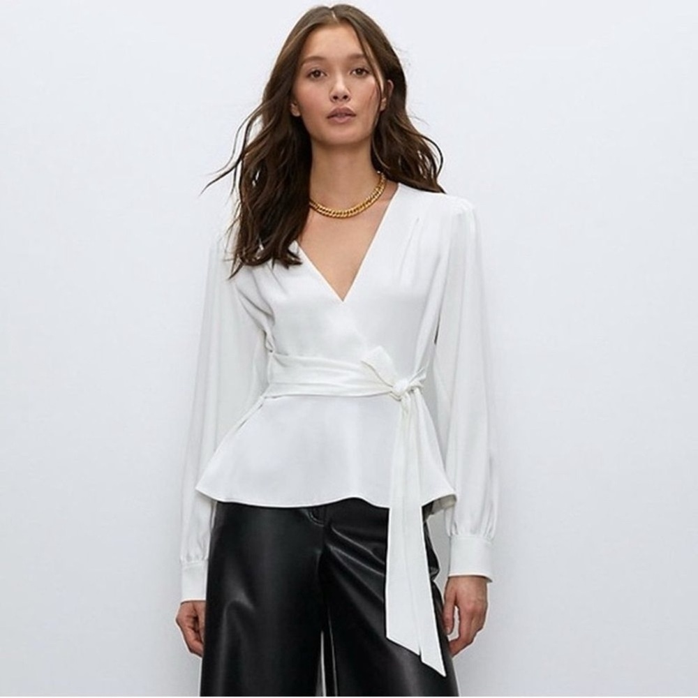 Aritzia Babaton Bello blouse